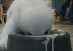 omniumbruten:  omg *.*  I 2nd that