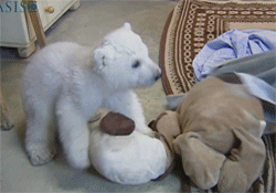 omniumbruten:  omg *.*  I 2nd that
