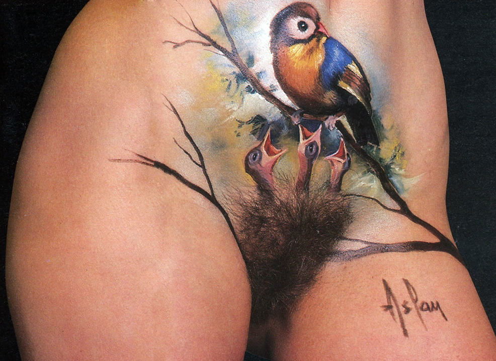 Bird in the bush