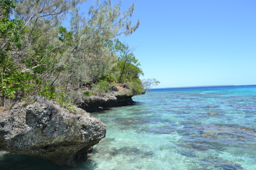 Paradise