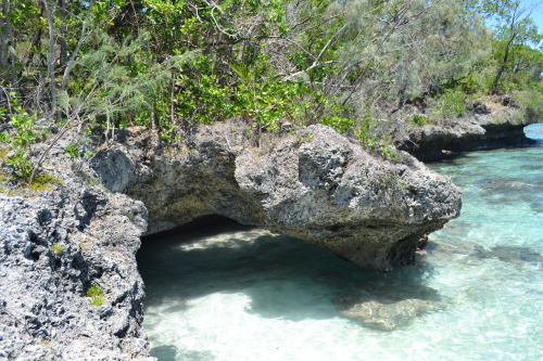 Paradise