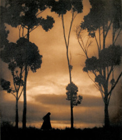 adanvc:  Storm Clouds. 1921. by Karl Struss