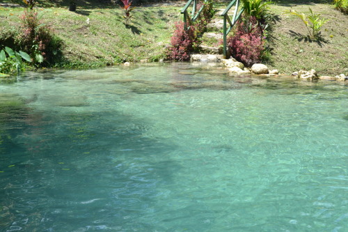 Paradise