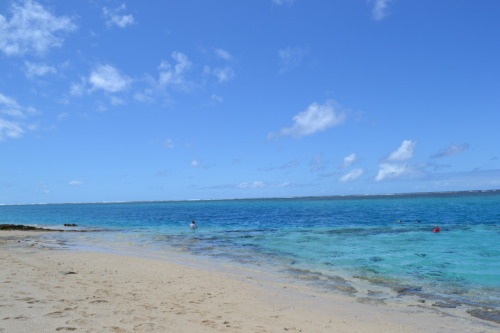 Paradise