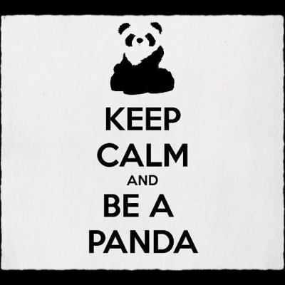 Ok #panda #SugarlessPanda #BeCalm (Taken with Instagram at Panda Habitat)