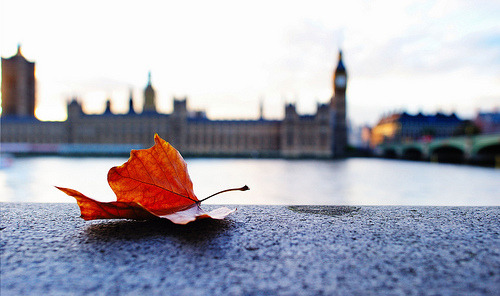 lheartlondon:  x 