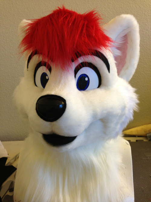 Wolf cub suit for Kova is close to complete, wrapping up finishing work on him today. :) Just lacks 