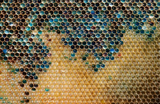 nbcnews:  Oh honey, why so blue? French beehives take a mysterious colorful turn