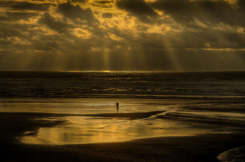 malerevolution:  Whether or not a higher power actually does exists, its often nice to think it all has a purpose. That someone, somewhere has a plan for us all.  