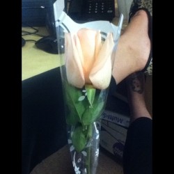 I have no birthday nigga so my boss got me a rose 💐 @_milfx3 come ovaaaa  (Taken with Instagram)