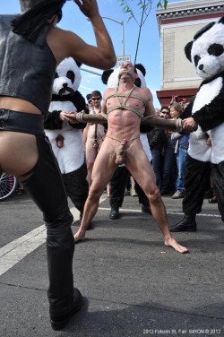 tomcs128:  Go with it guy.  I mean, flogged naked on a public street for a gathered crowd, restrained by giant Pandas?  This has to be a sex dream! Keep your eyes shut tight and maybe you’ll flood your sheets just like you did when you were a boy!