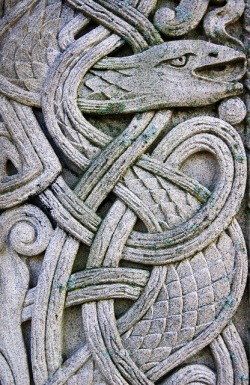 detail-detail-detail:  Celtic Knot Serpent