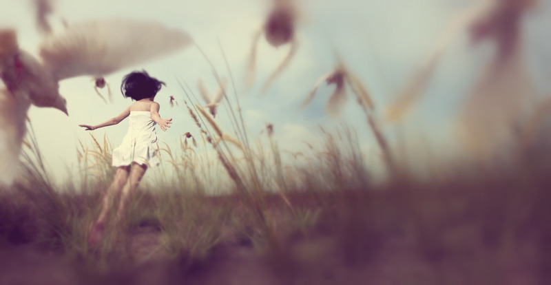 I want to run through the wildflowers again&hellip;