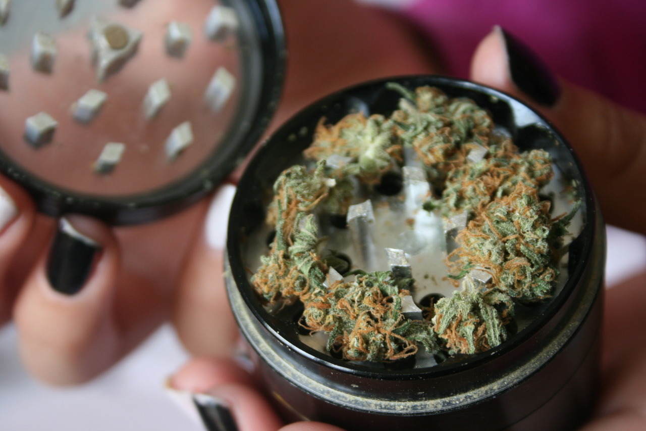 marijuanandsex