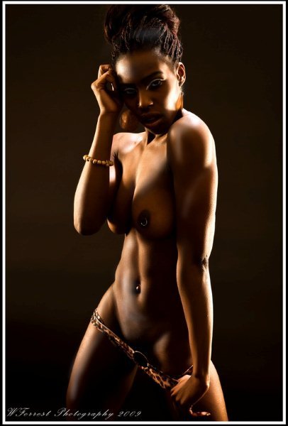 hotebony-daily:  