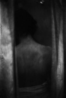 Donata Wenders