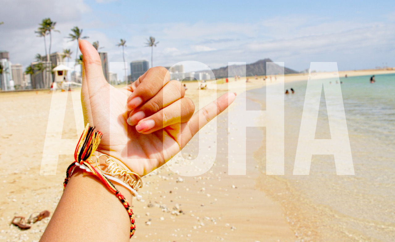 summeradise:☀SUMMER BLOG⚓