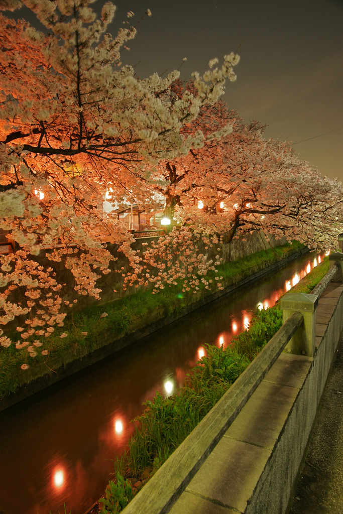 ethertune:  By yokoyama 
