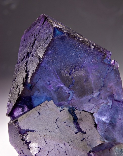 mineralia:Fluorite from Illinoisby Dan Weinrich