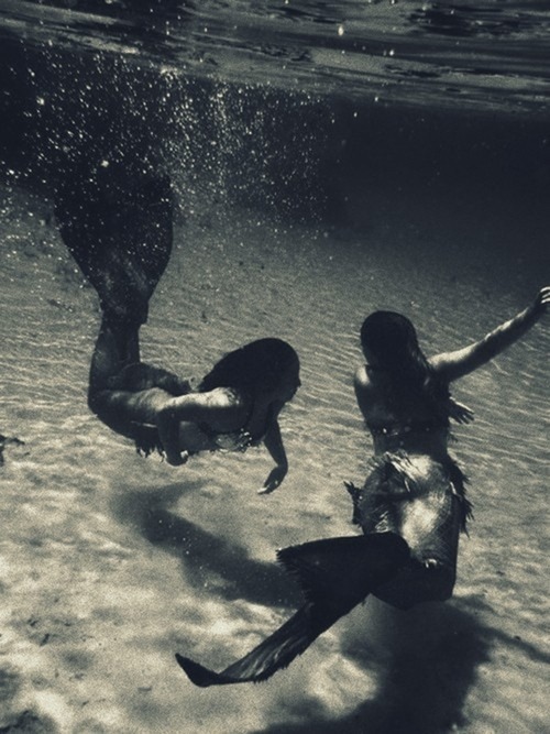 take a dip in my daydream
