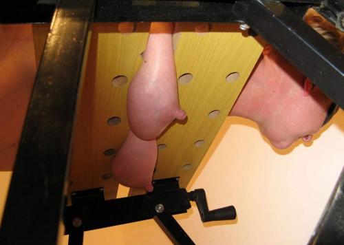 Top and Bottom