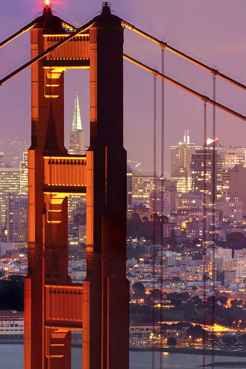 v0tum:  bridge