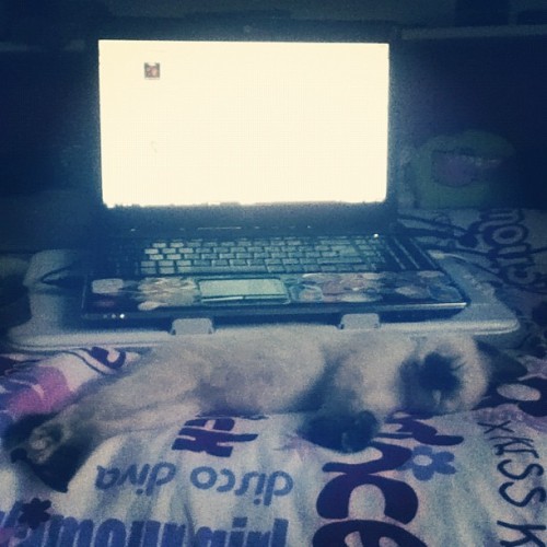 patriciacavaleiro:  bebés <3  (Tirada com o Instagram em la chambre à patricia et rute)