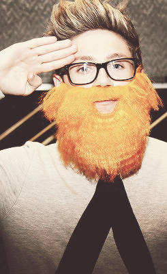  Huw wanted to see what @NiallOfficial looked like with his very own ginger beard. We think it suits him, do you? 