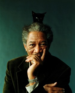 id0ntgiveaflyingshit:  ladisputa:  this photo hahahha. it’s morgan freeman, with a cat on his head.  it would be cooler if he had my cat on his head Morgan Freeman on Morgan Freeman cause my cats name is Morgan Freeman… 