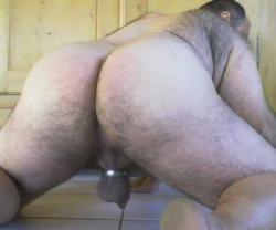 cutecubs:  hairy bear bum  What a great ass! Hairy back, too!