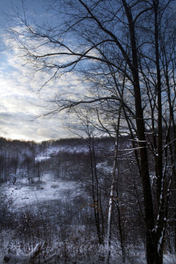 devon-davidheiser:  view from my cabin, 2010