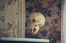 Claefer:  Dsc_16066 By Under My Bones. On Flickr. 