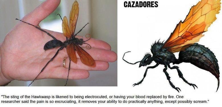 alongcameatom:  askhumanpinkie-pie:  rivkahwinter:  hermajestythederp:    ok well