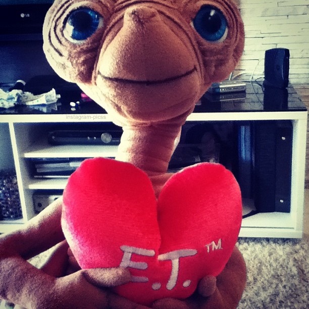No love found
