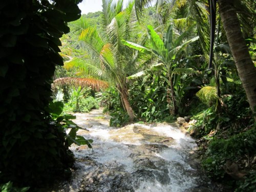 gu-avajuice: tribal-jungle:  t-ea:  tropical blog ♡ follow me  tribal-jungle: ☯ follow me here for p