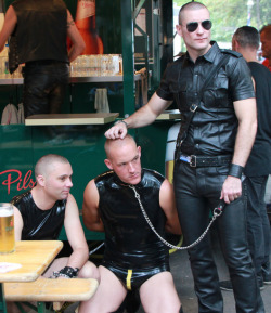 karl666:  white slave dogs ready to be sold BBC rules 