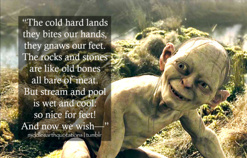  ”[…] We only wishto catch a fish,so juicy-sweet!” - Gollum, The Two Towers, Book IV, The Passage of