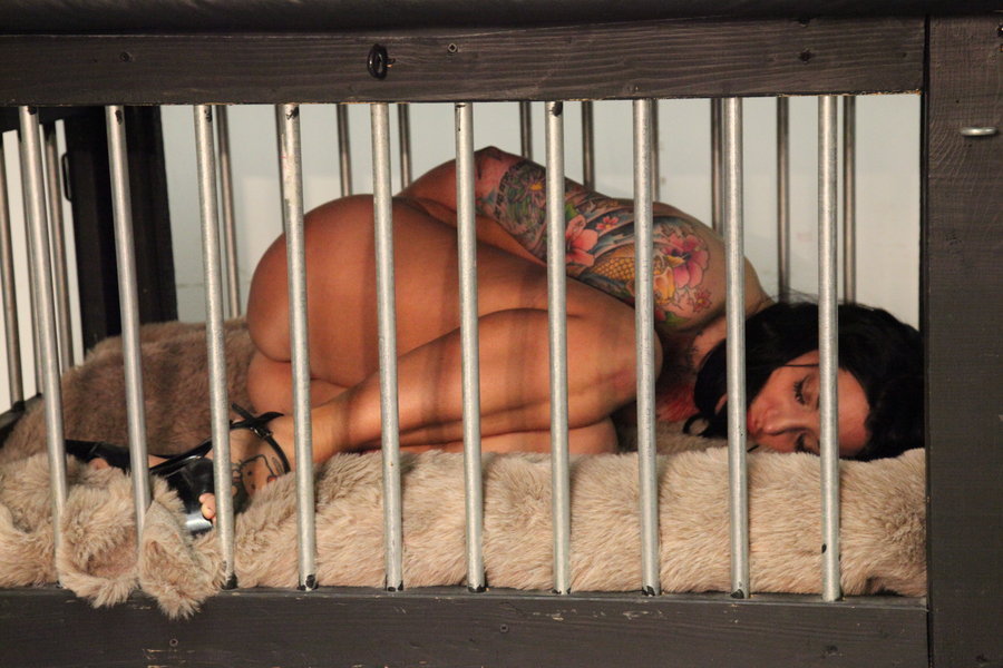 BondageBabes