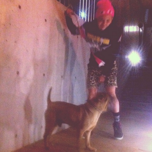 realjiyong-blog:“@IBGDRGN: Gaho is very strong so hyung doesn’t have enough strengthㅜㅜ”trans by @Lue