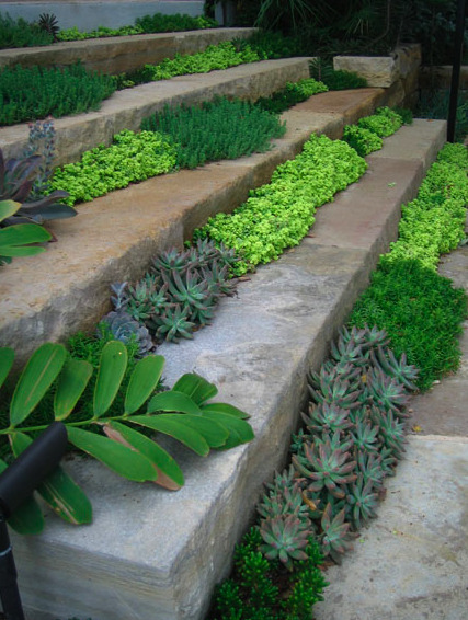 Designed by landscape architect Barry Landry of the Texas firm Root Design Company.