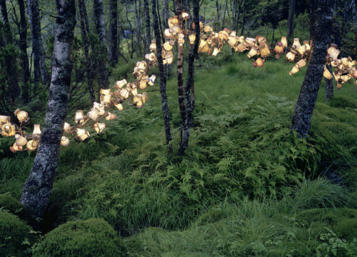 o-dyssea:  the-iridescence:  Norwegian conceptual artist Rune Guneriussen explores a fascinating balance of human culture and nature with his outdoor installations of electric lamps, stacked books, chairs, and phones that appear to have gathered in