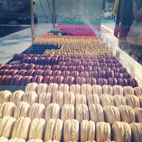 Macarons!! #takemebacktoparis #somuchlove (Taken with Instagram)