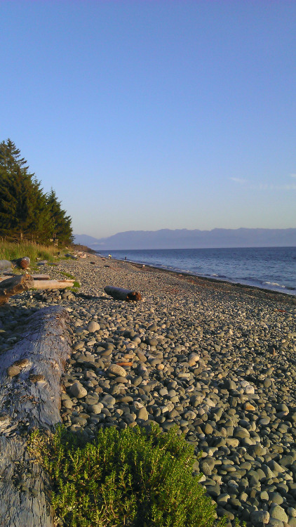 View of Olympic Mountains from Sooke, BC cbindon, flickr