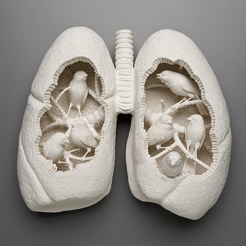 plvntous:gaksdesigns:Porcelain sculptures by Kate MacDowell.What oh my sweet Jesus wow this is just 
