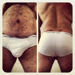 imshaych:  Bears in Briefs!!!   YUMMY!!!