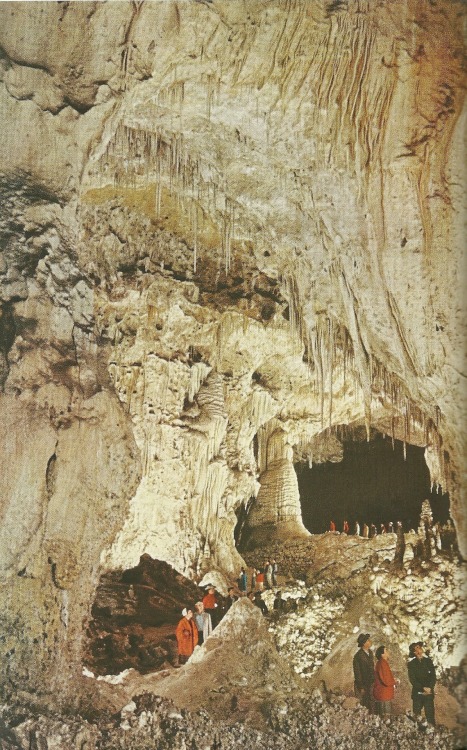 vintagenatgeographic: Carlsbad Caverns, New Mexico National Geographic | October 1953