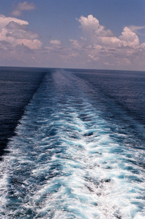 nosens:  (by Andrew Craig Harlow) 