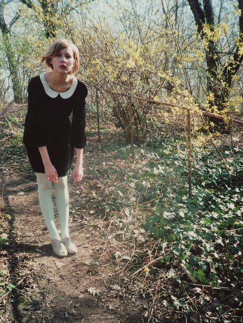 penury:  bird on your grave by Sea Swallow Me on Flickr. 