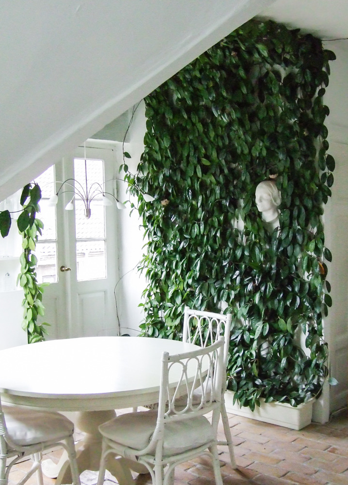 A wall of green in an apartment I rented in Copenhagen. Organic neutrals - brick, pure white, deep green add warmth, light, drama.