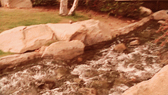 rupertsgiles:once more with feeling: 3) under your spell — tarayou make me complete…Cute.
